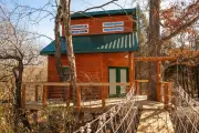 The Treehouse